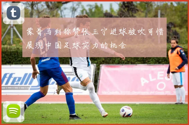 蒙哥马利称赞张玉宁进球被吹可惜展现中国足球实力的机会