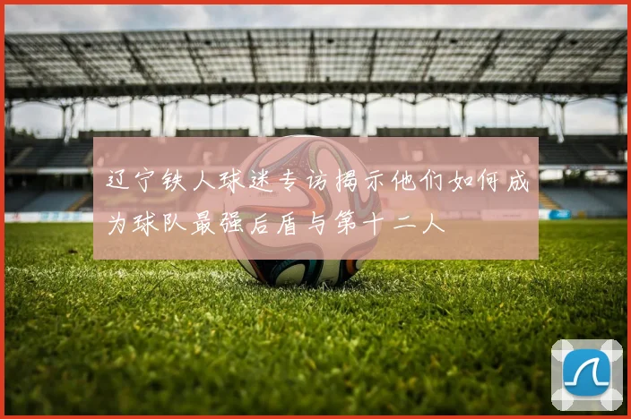 辽宁铁人球迷专访揭示他们如何成为球队最强后盾与第十二人