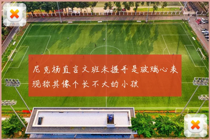 尼克杨直言文班未握手是玻璃心表现称其像个长不大的小孩
